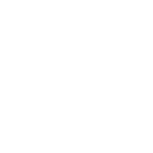 ACI | Icon showing a spatula cooking ingredients