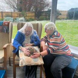 Fairways Care Home Celebrates Joyous Pet Day with Diverse Animal Friends