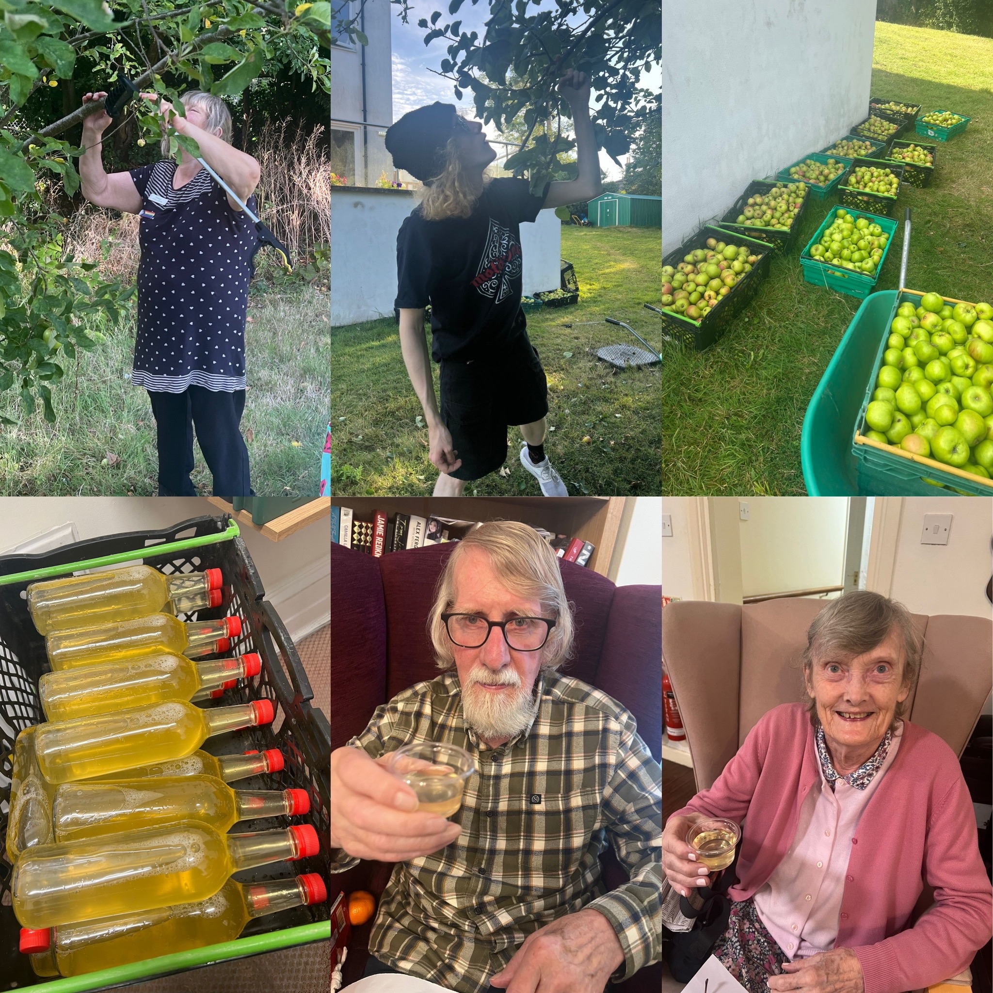 ACI | Image showing a collage of harvesting apples